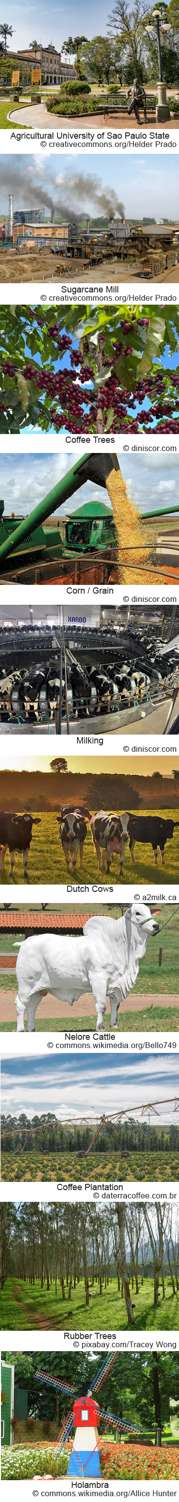 National Association of Farm Broadcasting - Brazil - May 9 – 15, 2027