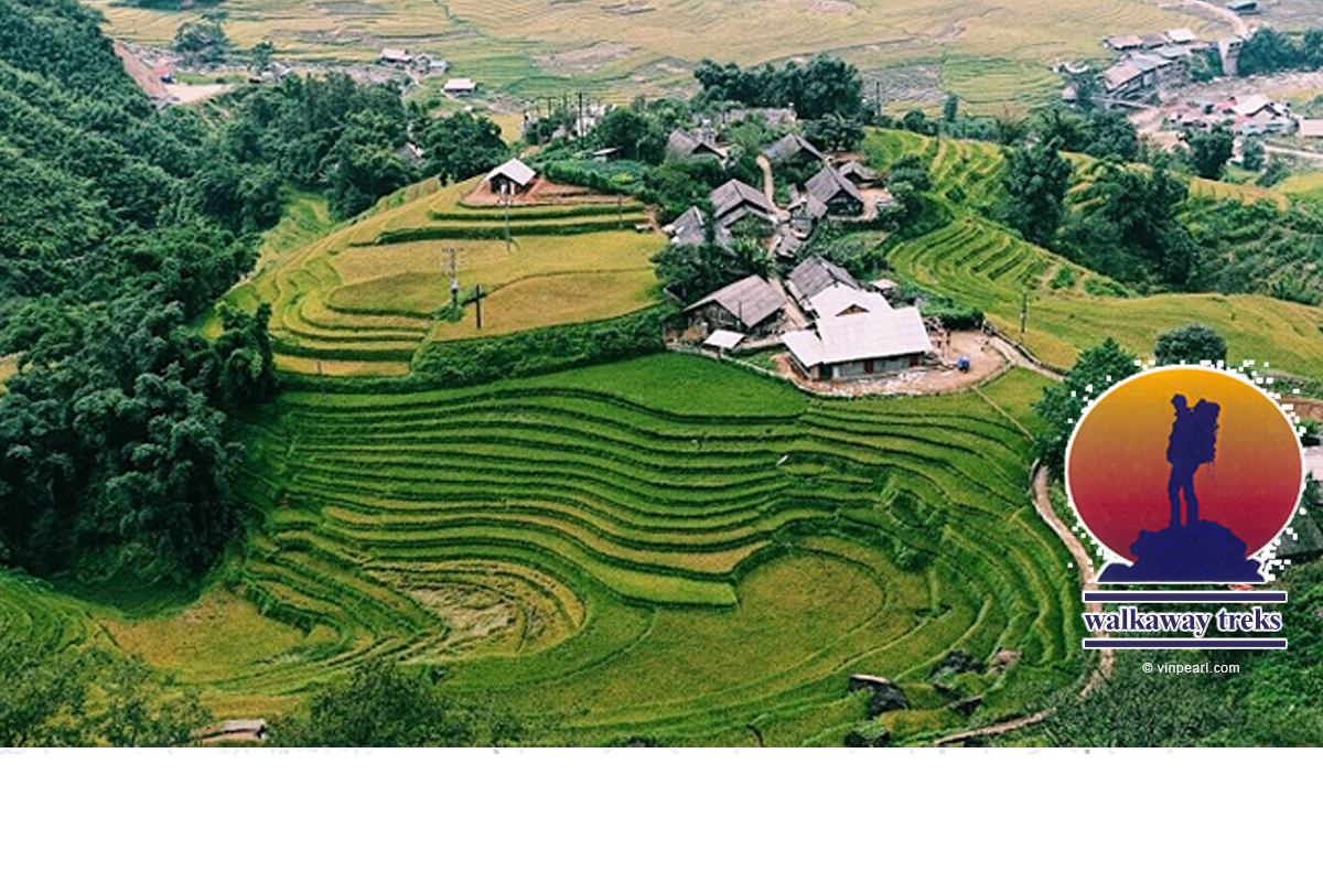 Walkaway Treks: Walking Tour in Vietnam / Insights into Vietnam II  ...with Optional Cambodia Tour March 2027